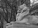 Kids-NYC_ESB_3-2014 (7)
